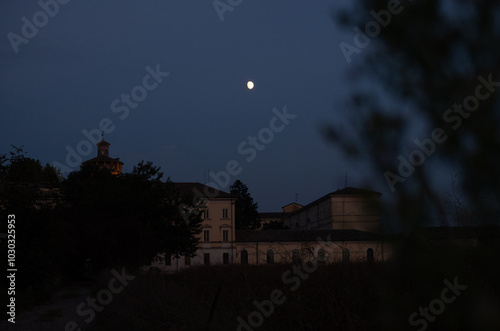 Sunset with full moon in the sky between the branches of the trees. Red moon.