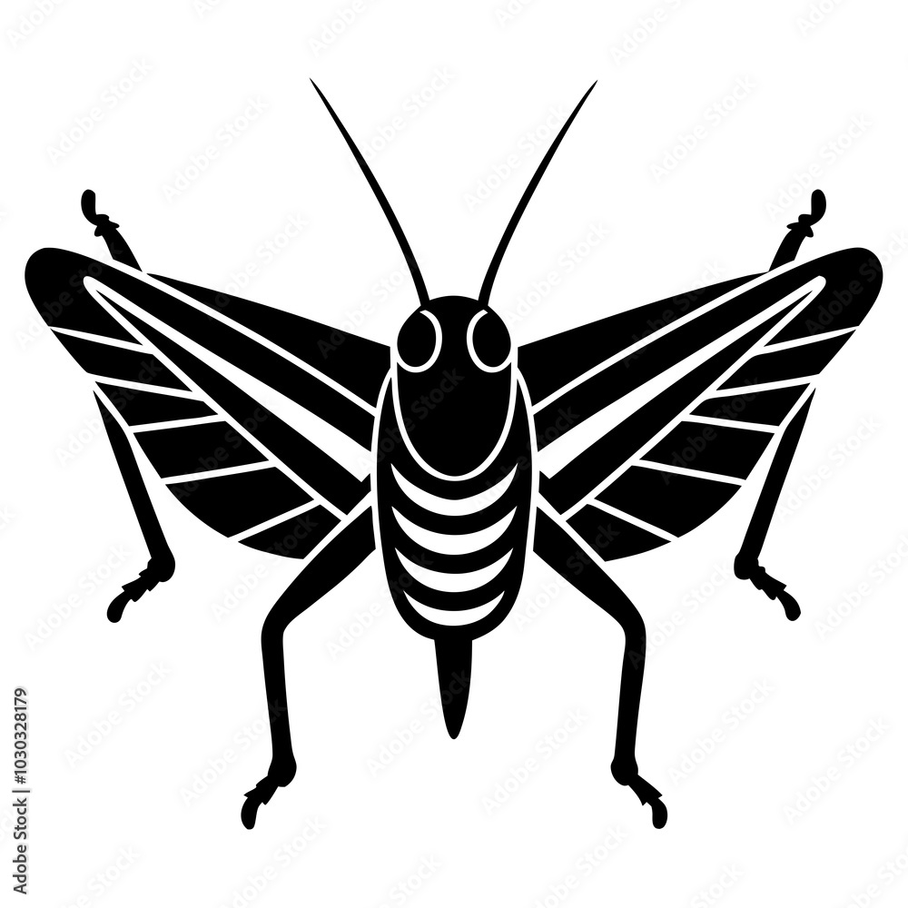 illustration of a locust animal illustration of a locust animal