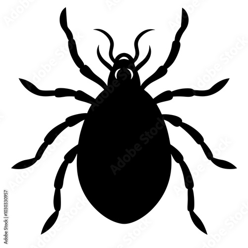 mite  animal on a white background