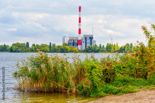 Reeds Along Shore Near Waste Incineration Plant photo