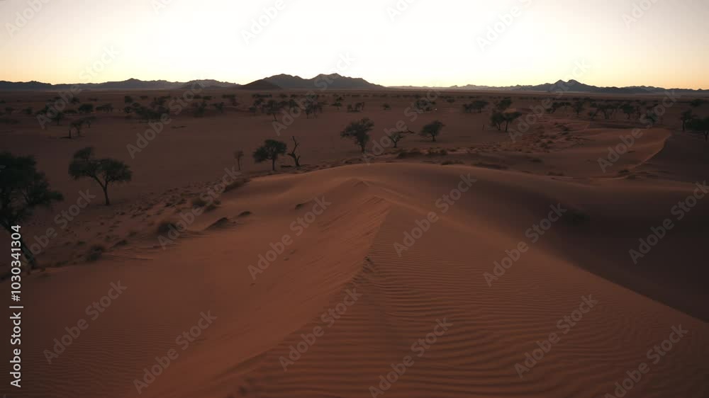 General shot of a dune at sunrise in the Namib Desert, Namibia, Africa General shot of a dune at sunrise in the Namib Desert, Namibia, Africa