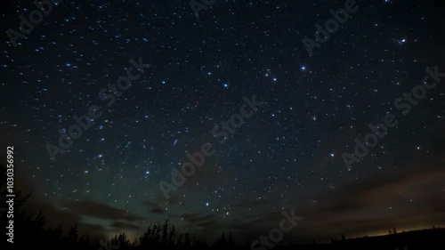 Starry Night Sky Above Forest Silhouette
