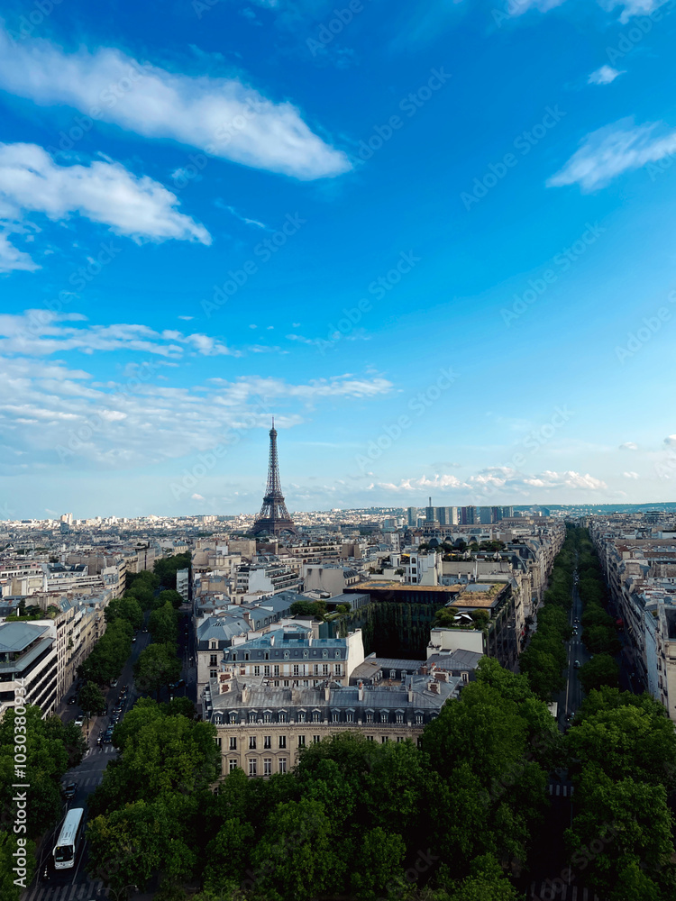 Fototapeta premium Paris skyline