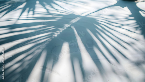 Photography of Top View of Tropical and Palm Leaf Shadows on Water Surface and White Sand Beach, Perfect Summer Beach Vacation Concept, Beautiful Abstract Summer Vacation Landscape Banner 
