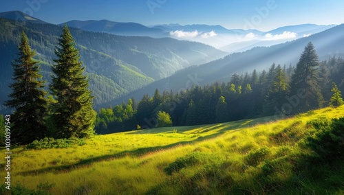 Majestic forest landscape with foggy mountains in the background, morning sunlight creating a misty atmosphere, lush green meadow and tall trees under the blue sky.