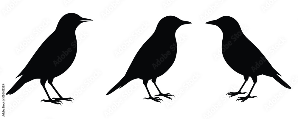 Fototapeta premium Starling Silhouette Bundle Vector illustration
