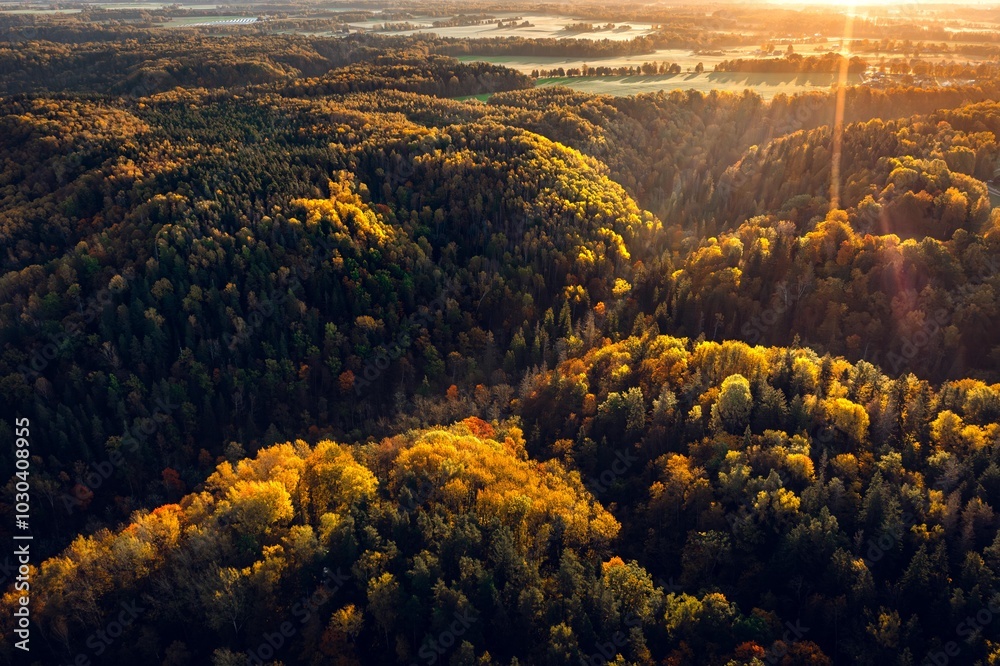 Colorful sunrise over the Gauja National park valley. Sigulda city panorama from drone with forest in autumn colors.