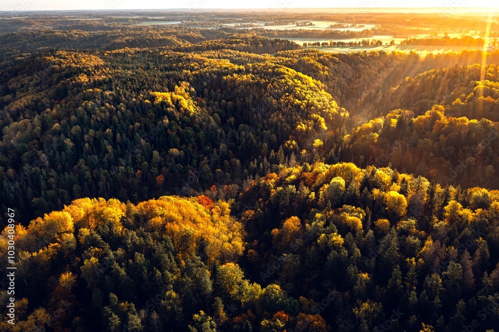 Colorful sunrise over the Gauja National park valley. Sigulda city panorama from drone with forest in autumn colors.