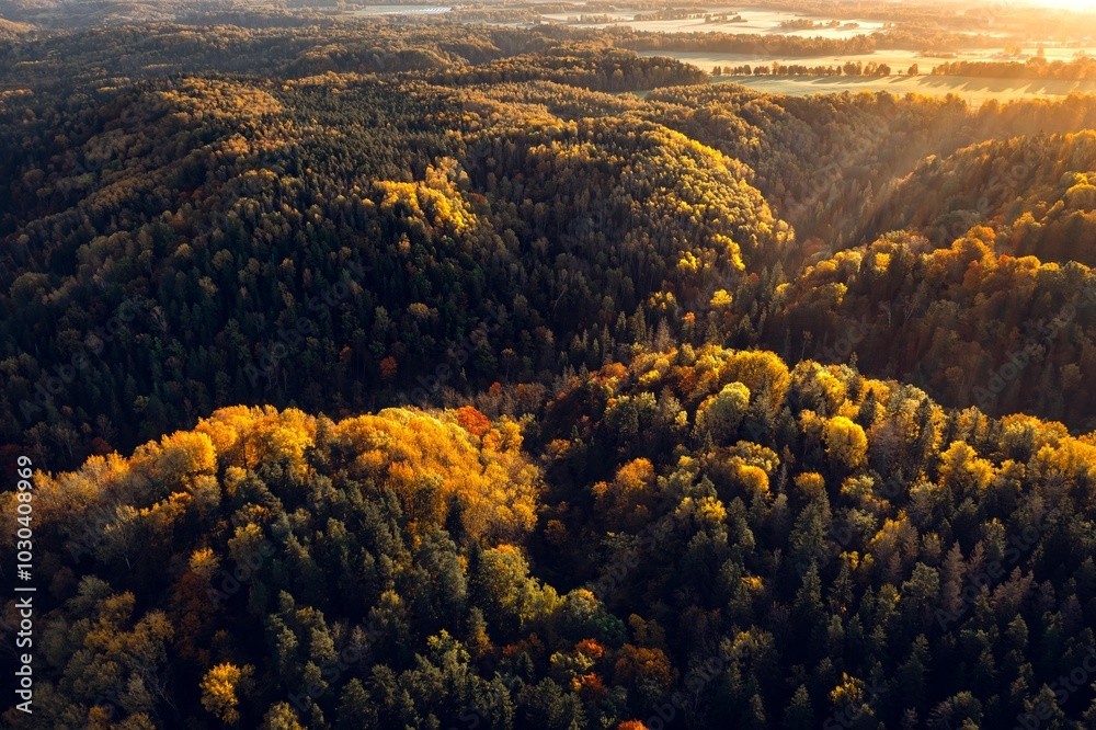 Colorful sunrise over the Gauja National park valley. Sigulda city panorama from drone with forest in autumn colors.
