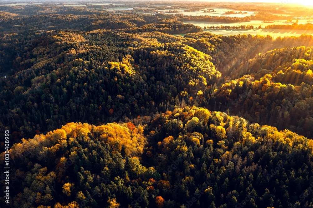 Colorful sunrise over the Gauja National park valley. Sigulda city panorama from drone with forest in autumn colors.