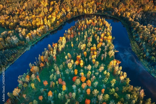 Obraz na płótnie Colorful sunrise over the Gauja National park valley. Sigulda city panorama from drone with forest in autumn colors. w salonie