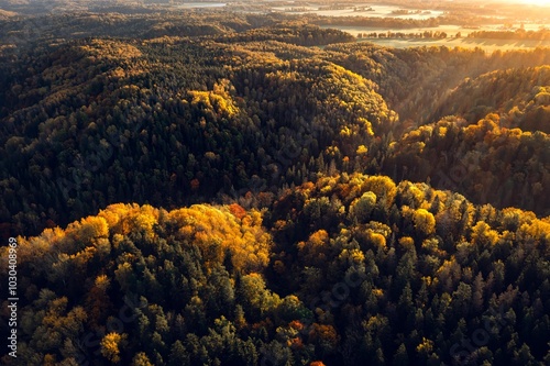 Obraz na płótnie Colorful sunrise over the Gauja National park valley. Sigulda city panorama from drone with forest in autumn colors. w salonie