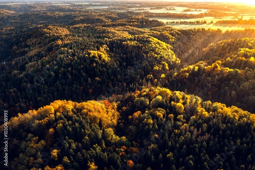 Obraz na płótnie Colorful sunrise over the Gauja National park valley. Sigulda city panorama from drone with forest in autumn colors. w salonie