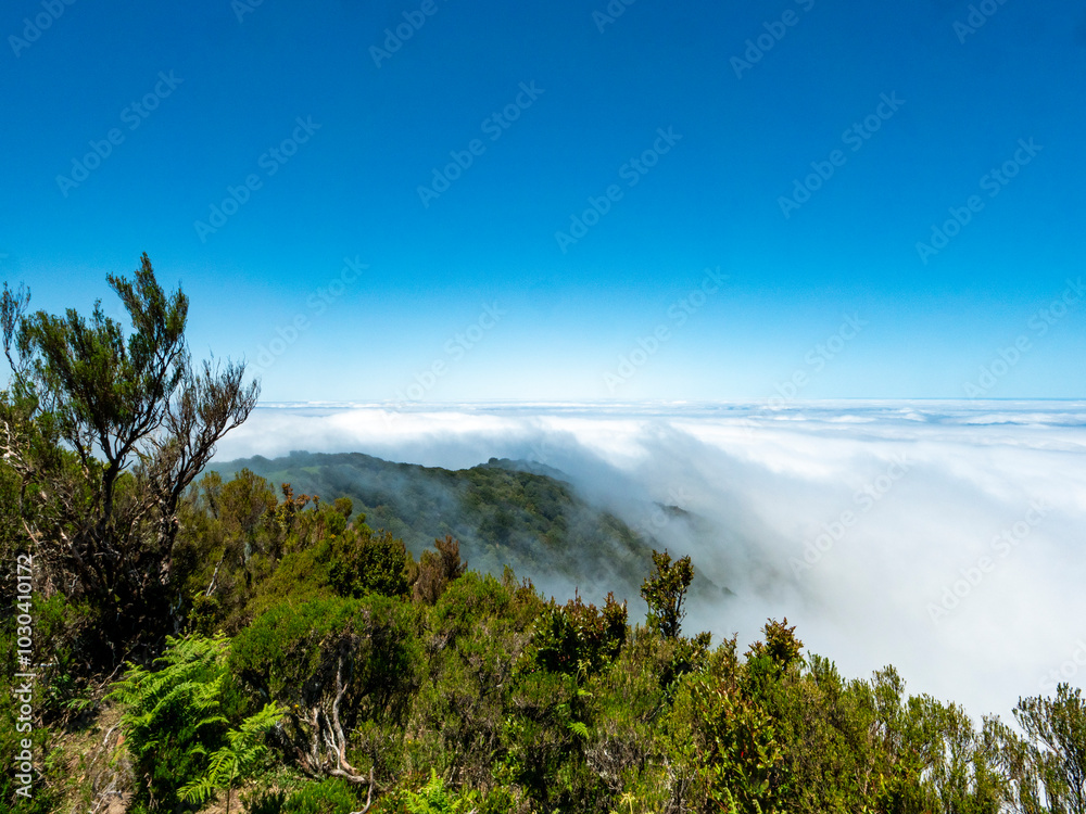 View from the so-called fairy garden on Madeira over the cloud cover. Old laurel trees can be seen in the foreground. View from the so-called fairy garden on Madeira over the cloud cover. Old laurel trees can be seen in the foreground.