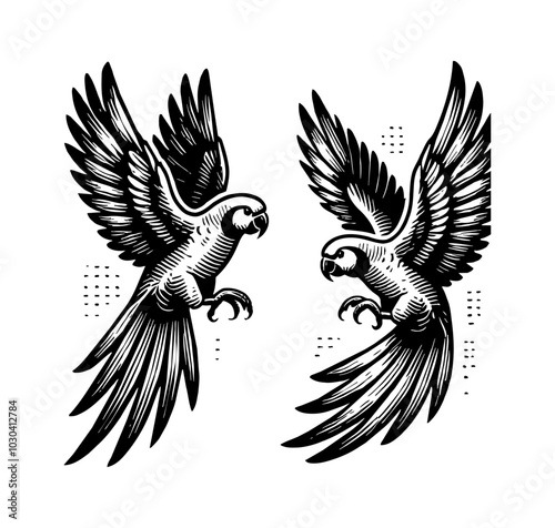 parrot fly engraving black and white outline