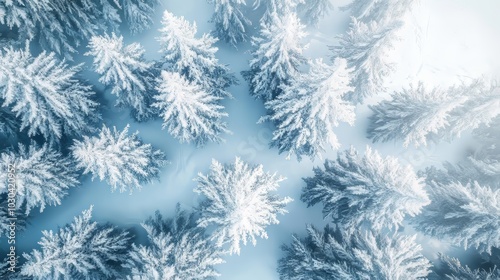 Looking down from above, a snowy forest stretches out, with frosted treetops glittering in the sunlight. The frozen trees create a beautiful winter scene.