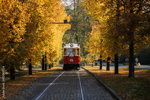 Photography Traditional tram in Prague. Autumn in Prague