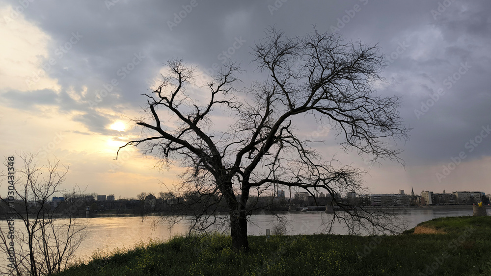 Petrovaradin Fortress and it's surroundings in bright spring day Petrovaradin Fortress and it's surroundings in bright spring day