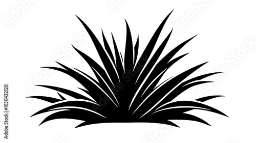 Aloe plant with thick, pointed leaves arranged in a rosette pattern, vector illustration art