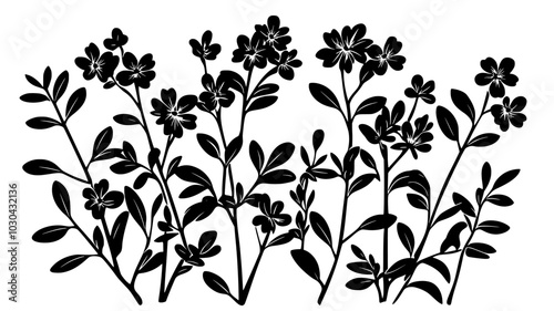 Alpenrose shrub with flower clusters among evergreen leaves, vector illustration art