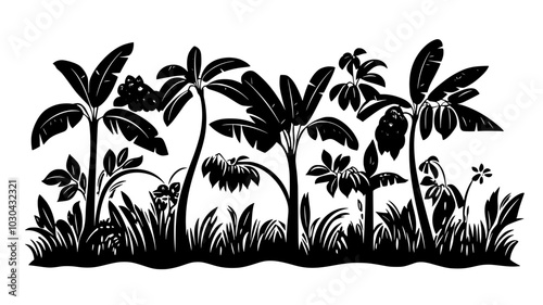 Banana trees with fruit clusters in a plantation, vector illustration art