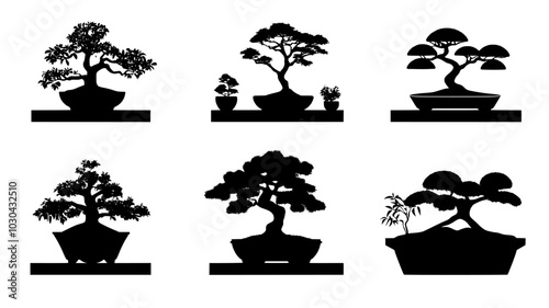 Bonsai trees in pots on display shelves, vector illustration art