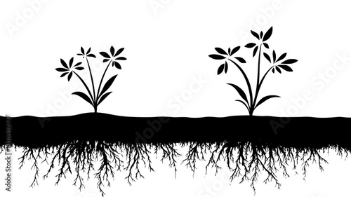 Broomrape sprouting near the roots of a host plant, vector illustration art