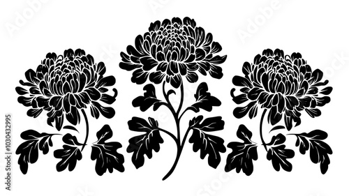 Chrysanthemums laid out in a symmetrical design, with visible stems and no overlapping, vector illustration art