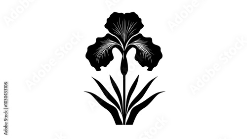Close-up of a Siberian iris flower blooming in a garden setting, vector illustration art