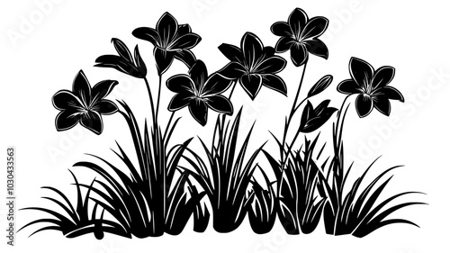Daylily plants with multiple flower stalks in a garden, vector illustration art