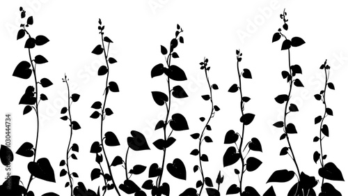Ayahuasca vines climbing trees in Amazon rainforest clearing, vector illustration art