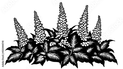Astilbe flowers blooming in a shaded area of a backyard garden with dense foliage, vector illustration art