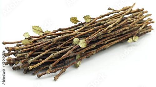 A bundle of twigs with small leaves, often used for crafting or decoration. photo