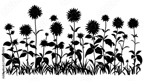 Bee balm plants with spiky blooms in a cottage garden, vector illustration art