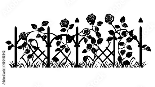Climbing rose ascending a trellis in a formal garden, vector illustration art