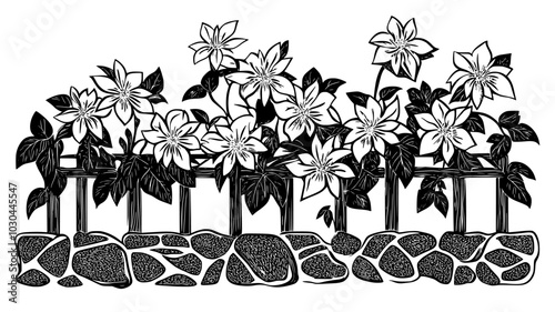 Climbing clematis on a wooden trellis against a stone wall, vector illustration art