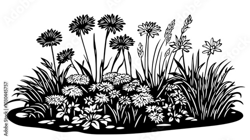 Wallpaper Mural Asters blooming in a natural, uncultivated area, vector illustration art Torontodigital.ca