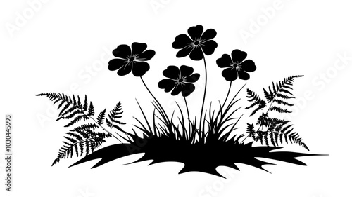 Cosmos plants with ferny foliage and flowers in a meadow, vector illustration art