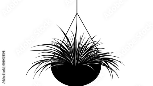Air plant terrarium with plants suspended on wire, vector illustration art