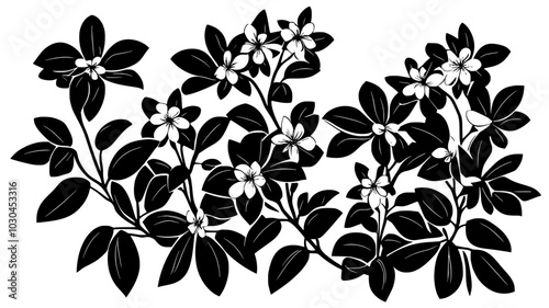 Alpenrose shrub with flower clusters among evergreen leaves, vector illustration art