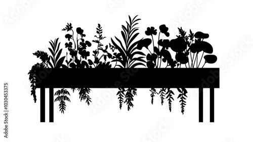 Asparagus fern trailing from an elevated planter outdoors, vector illustration art