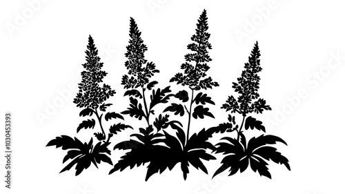 Astilbe flowers blooming in a shaded area of a backyard garden with dense foliage, vector illustration art