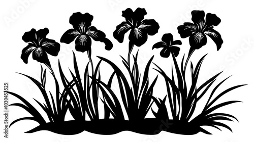Bearded iris plant with several open flowers in a flowerbed, vector illustration art