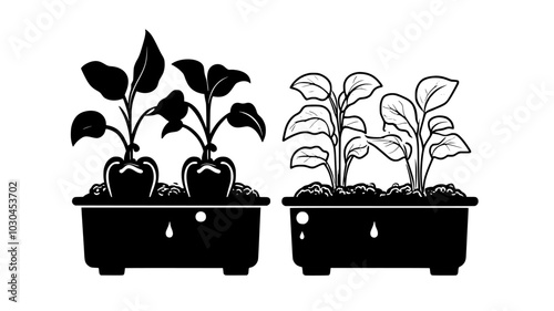 Bell peppers in raised beds irrigated by catfish tank overflow, vector illustration art
