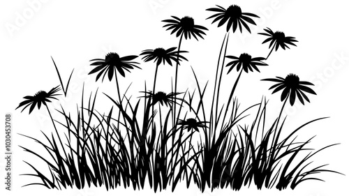 Black-eyed Susan clump in a prairie garden, bright yellow flowers with dark centers, vector illustration art
