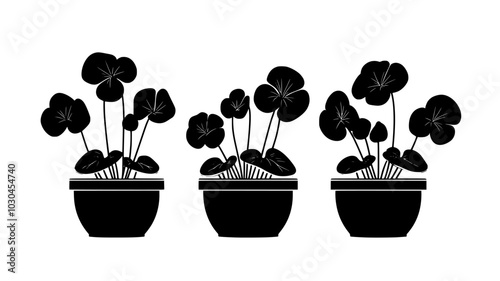 Cyclamens growing in planters near a home entrance during winter, vector illustration art