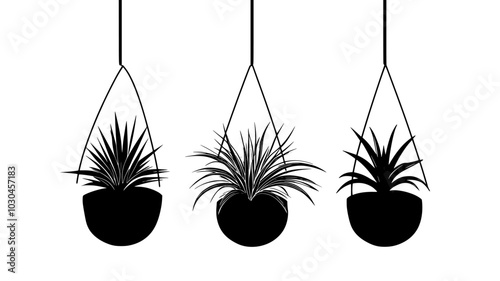 Air plant terrarium with plants suspended on wire, vector illustration art