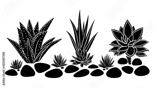 Aloe vera plants with succulent leaves in rocky soil, vector illustration art