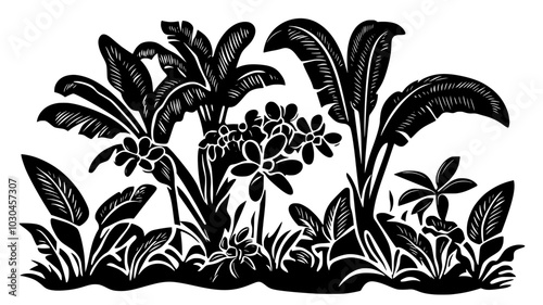 Banana trees with fruit clusters in a plantation, vector illustration art