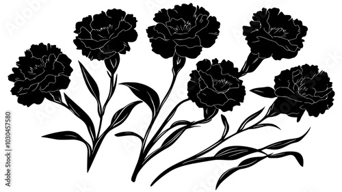 Bouquet of cut perpetual carnations lying flat on a smooth surface, vector illustration art